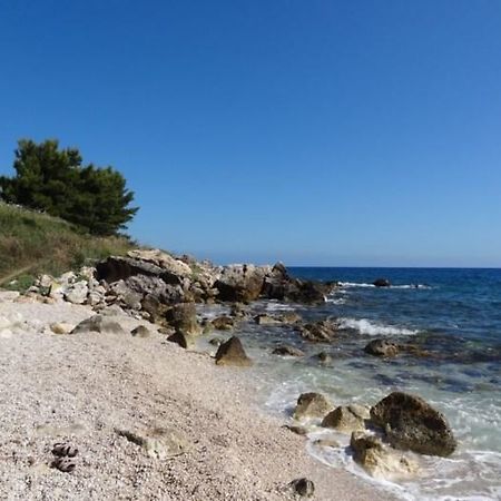 Villa Adamo Scopello  Bagian luar foto